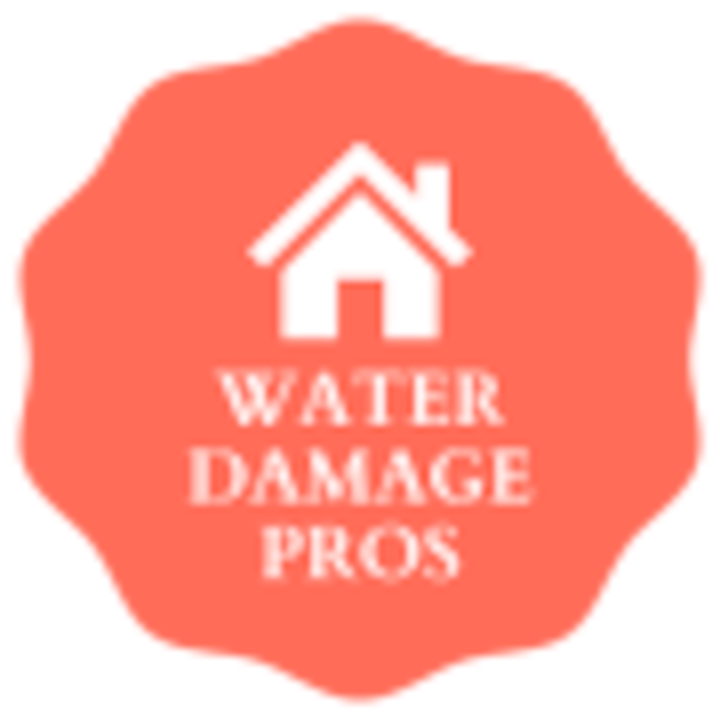 water damage pro logo